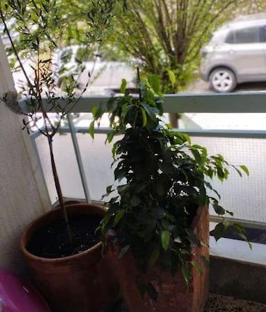 Cozy Apartment In Athens! Екстер'єр фото