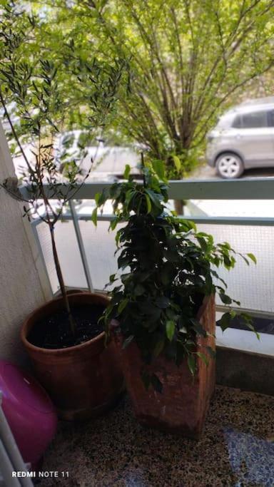 Cozy Apartment In Athens! Екстер'єр фото